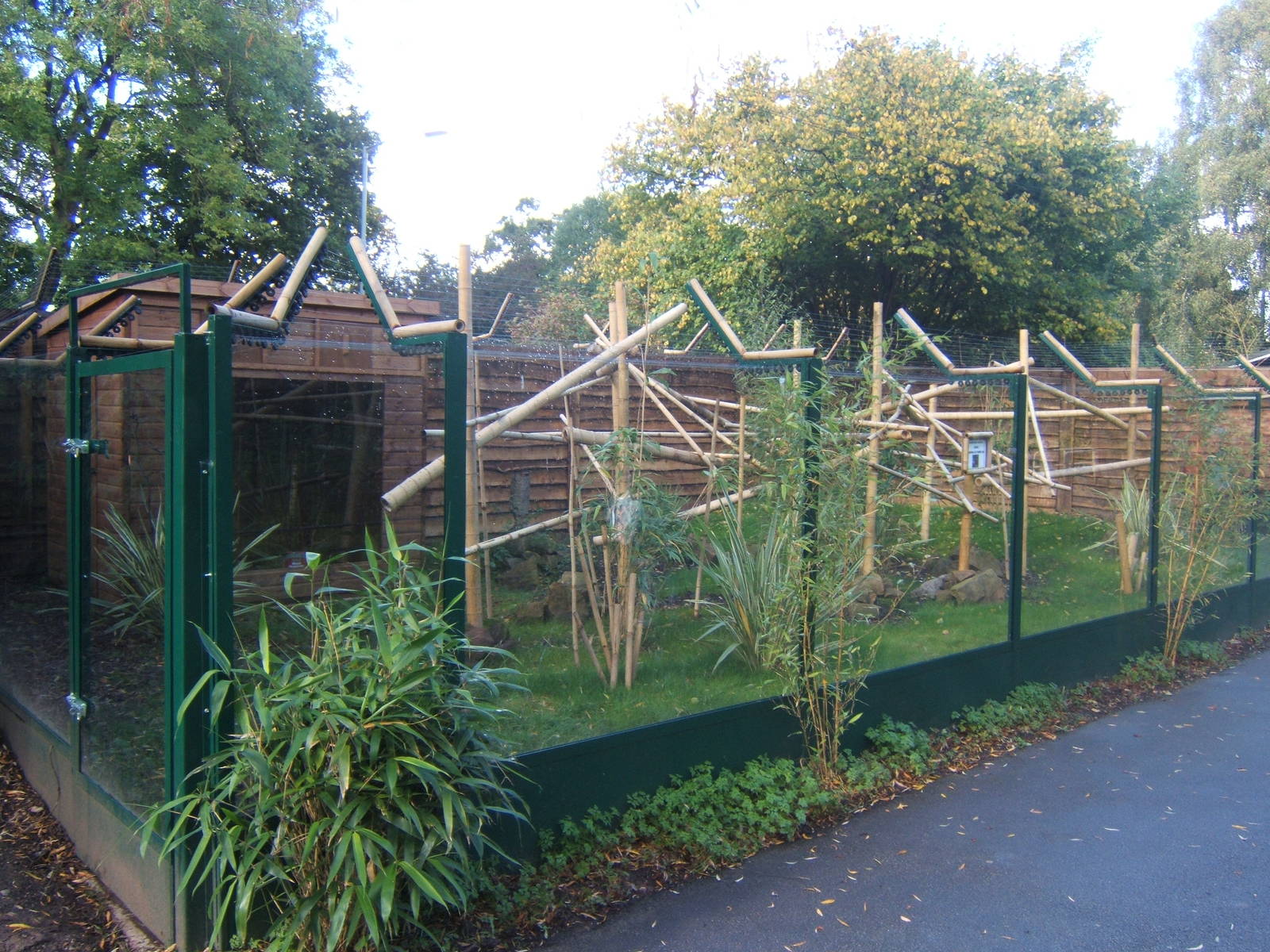 View of the Aloatran gentle Lemur exhibit