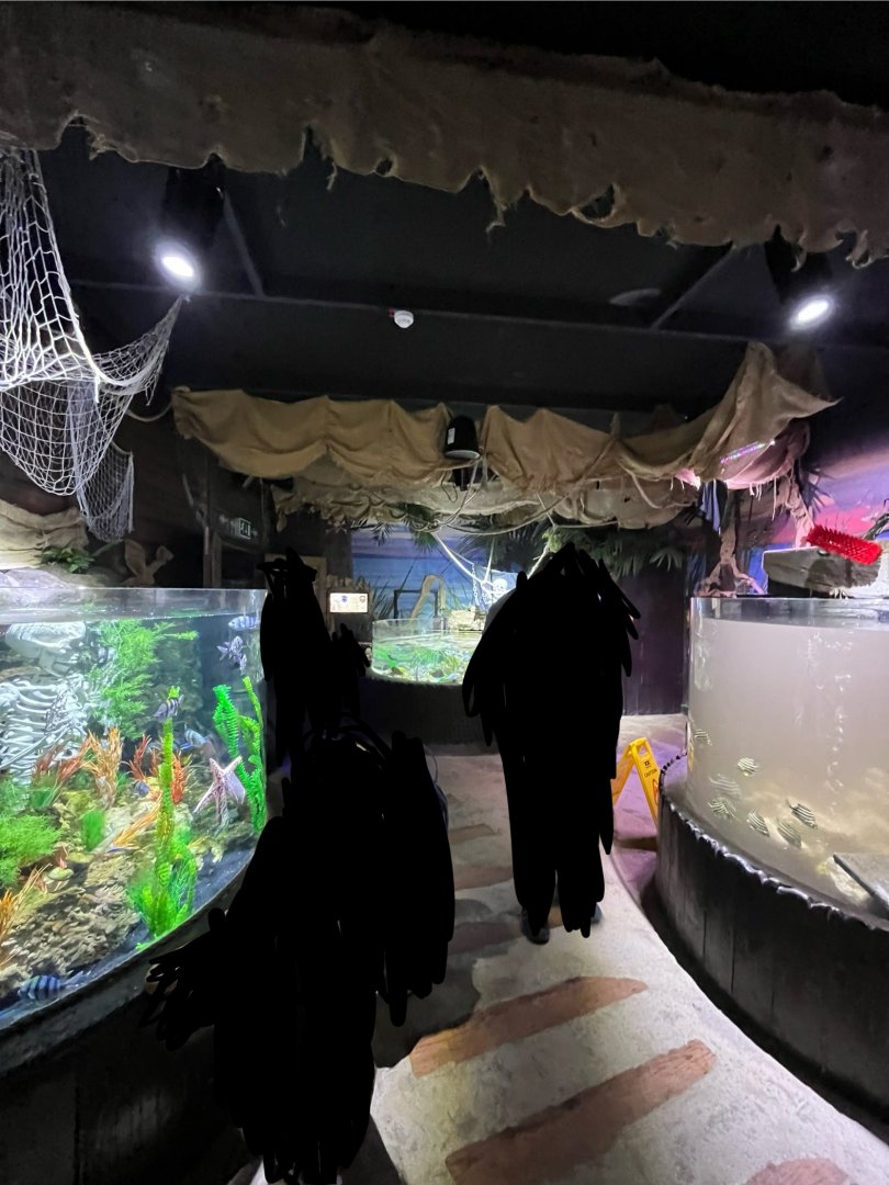 View of the aquarium 8.7.24