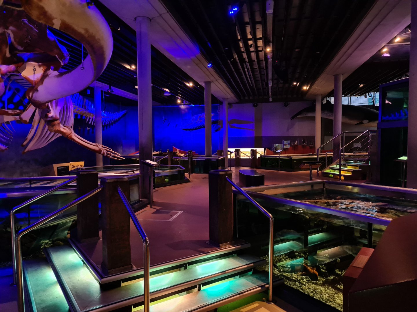 View of the aquarium room