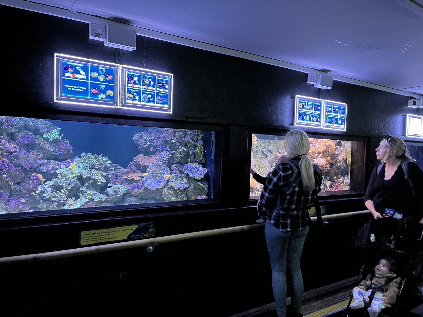 View of the aquarium tanks 29.6.24