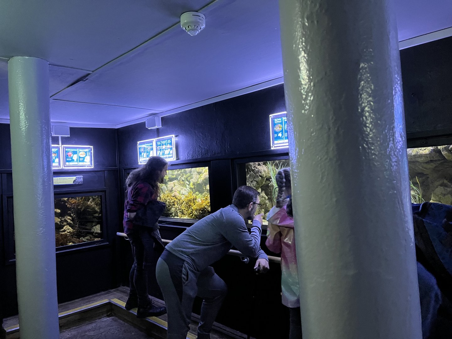 View of the aquarium tanks 29.6.24