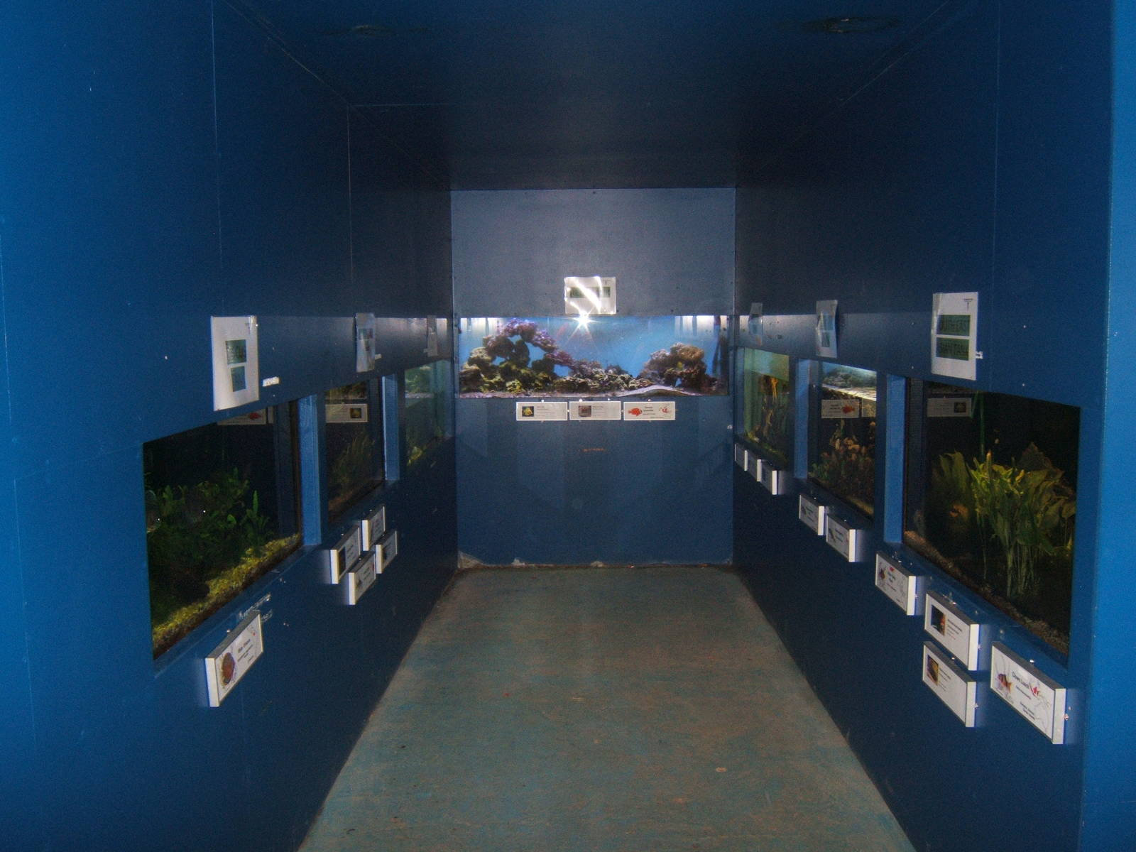 View of the Aquarium