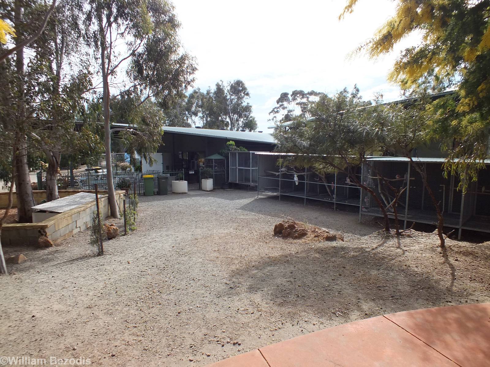 View of the Area Around the Entrance Building - Cohunu Koala Park