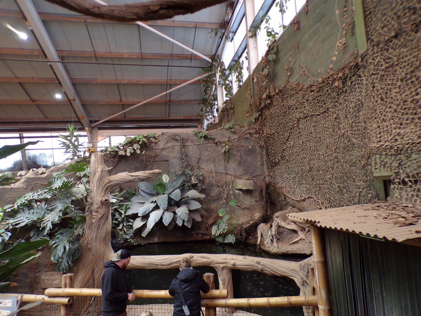 View of the Asian aquarium inside the elephant house 29.6.24