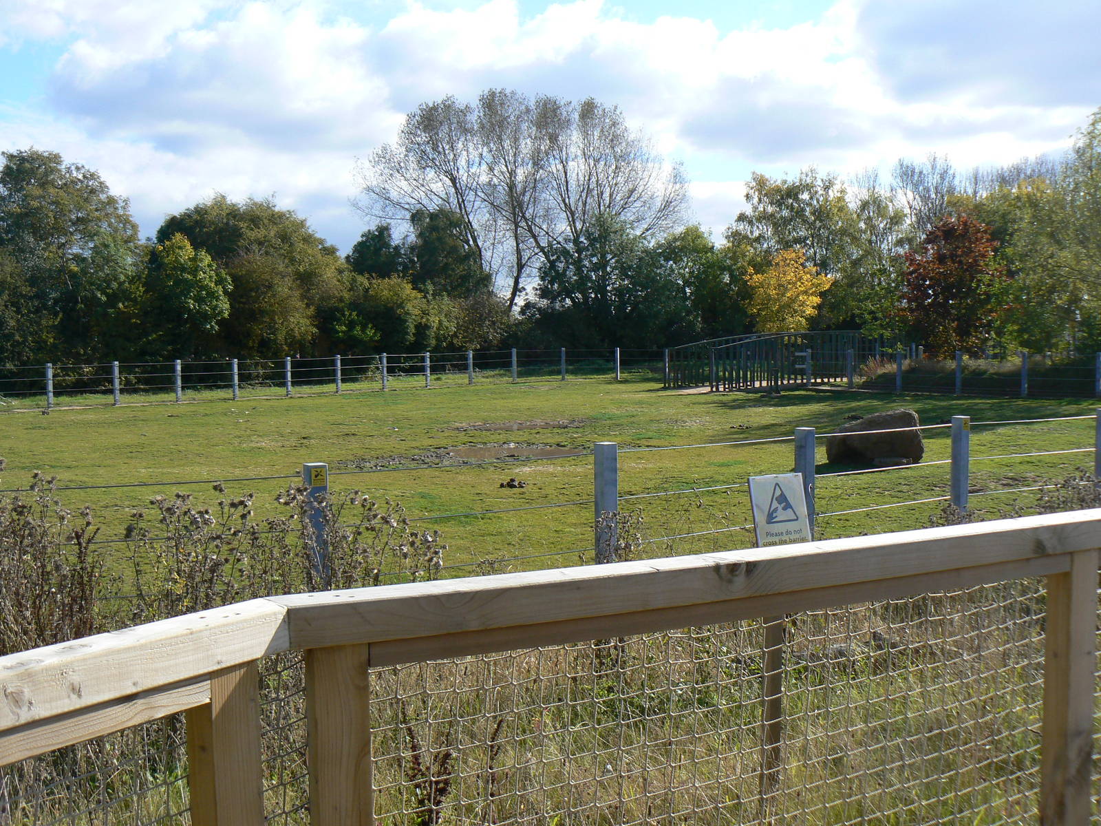View Of The Asian Elephant Grass Paddock- 17 October 2015