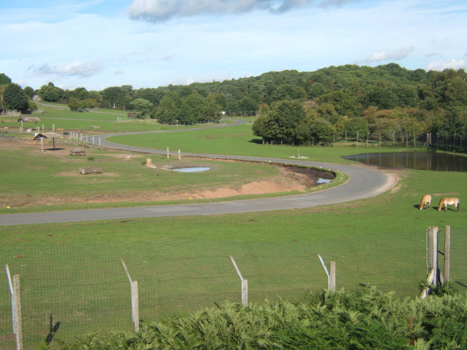 View of the Asian reserve from the SVR