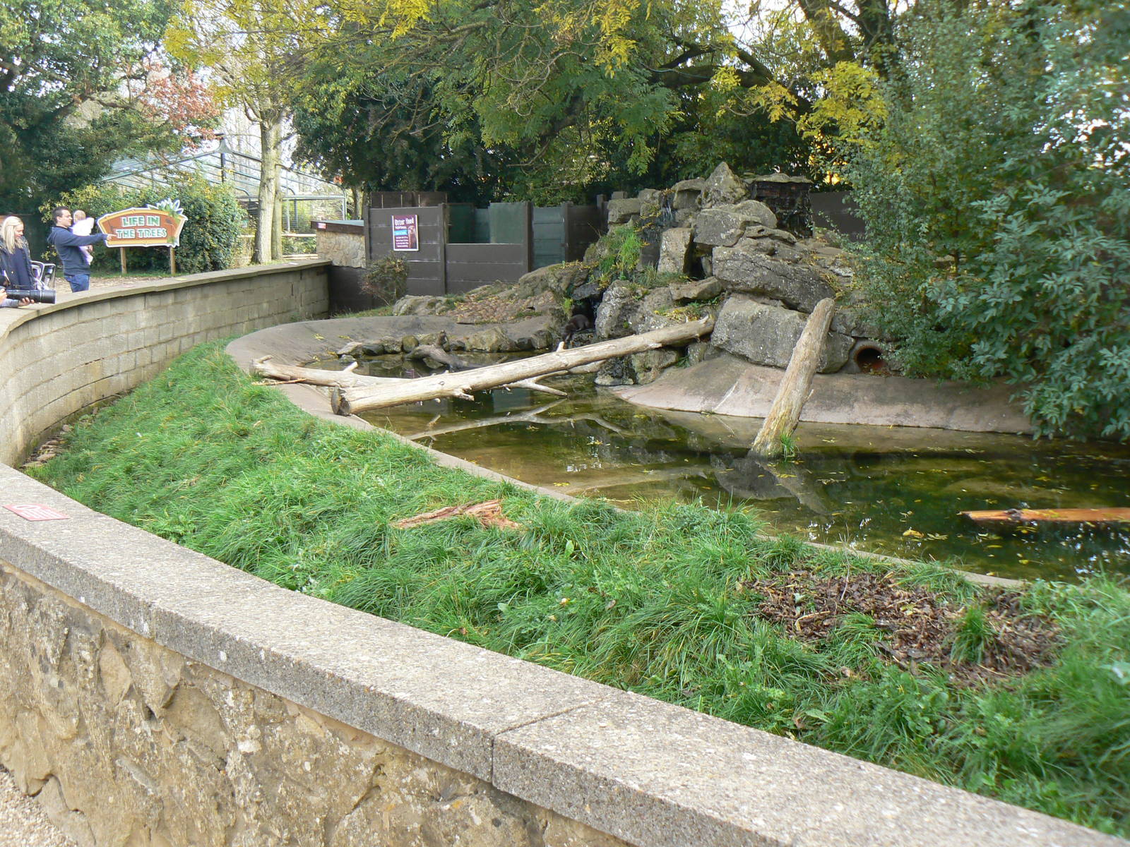 View Of The Asian Short-clawed Otter Enclosure- 17 October 2015