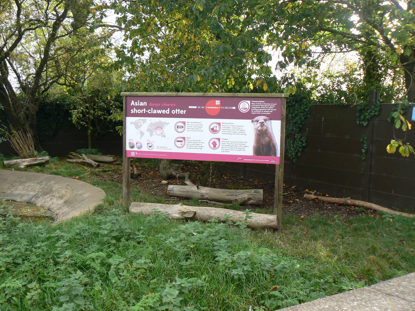 View Of The Asian Short-clawed Otter Enclosure- 17 October 2015