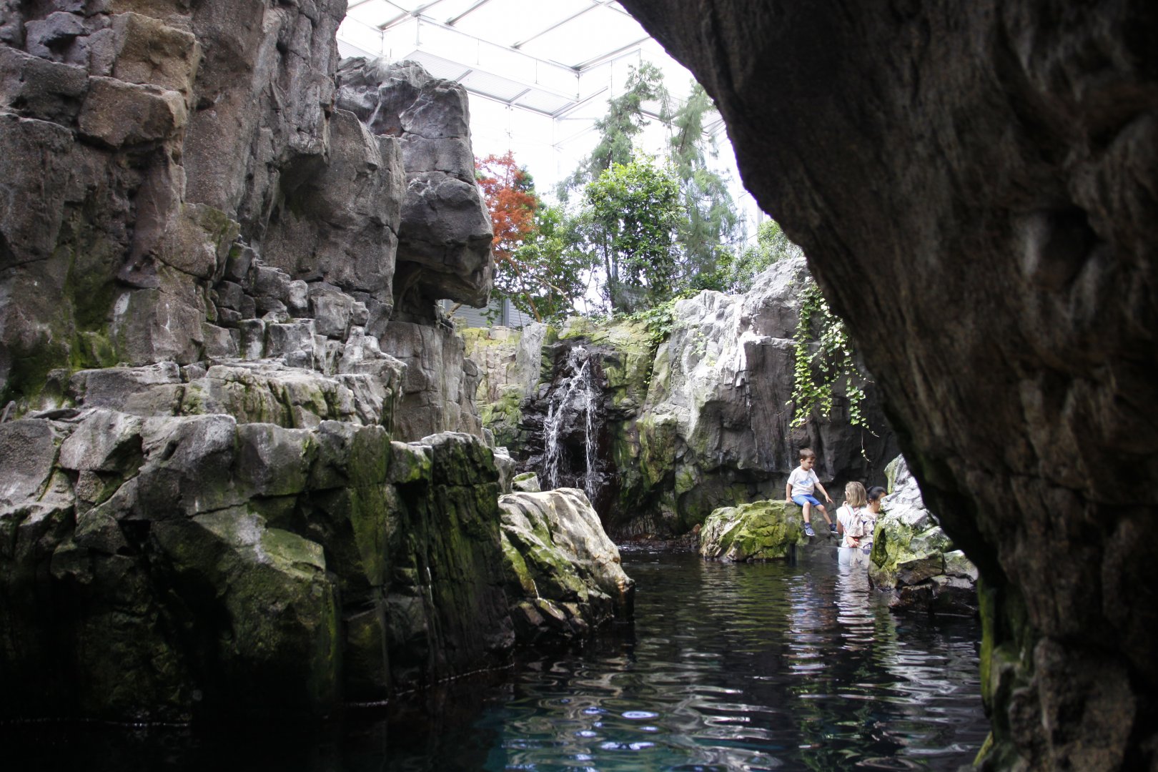 View of the auk enclosure