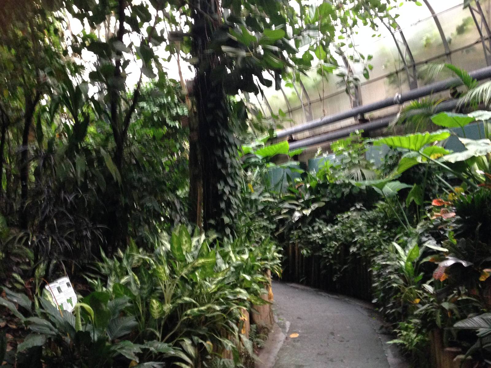 View of the Australasia House at Tropical World - 02/10/2013