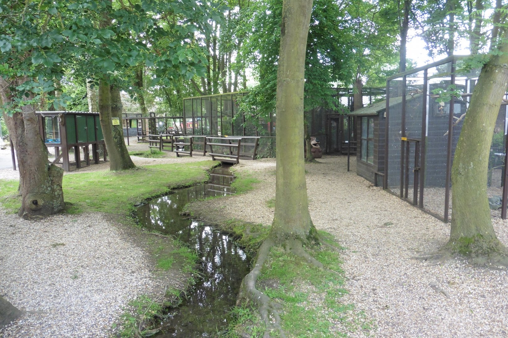 View of the aviaries & enclosures