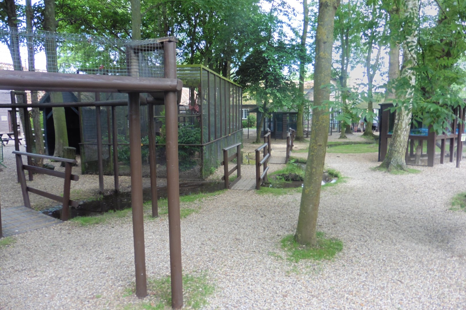 View of the aviaries & enclosures