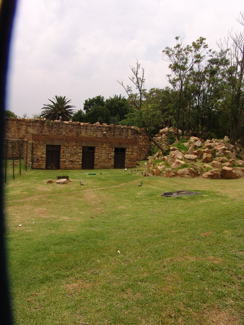 View of the Barbary Sheep (Ammotragus lervia) enclosure