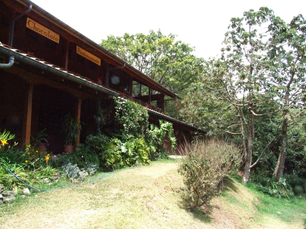 View of the Bat Jungle Building, 21/04/14