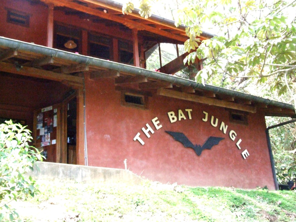 View of the Bat Jungle Building, 21/04/14