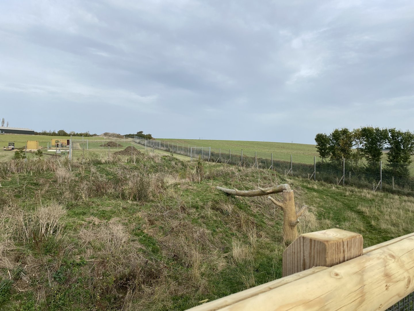 View of the bear enclosure (right) from the new viewing platform, Hamerton, UK
