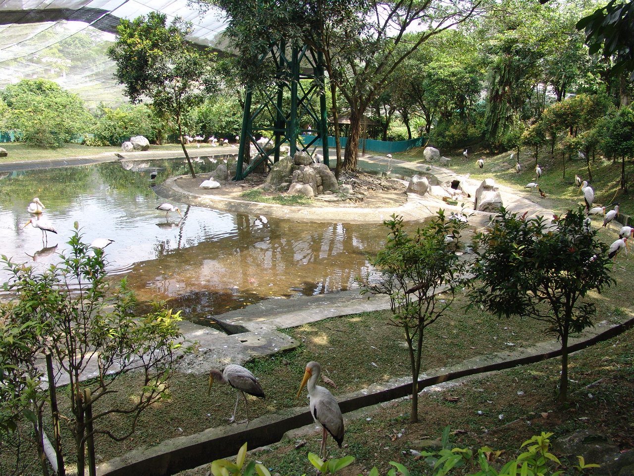 View of the big aviary