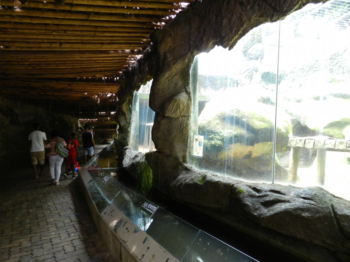 View of the big cat row - Salvador zoo (PZGV)