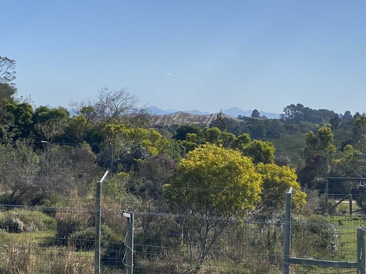 View of the Birds of Eden aviary from the lion bridge