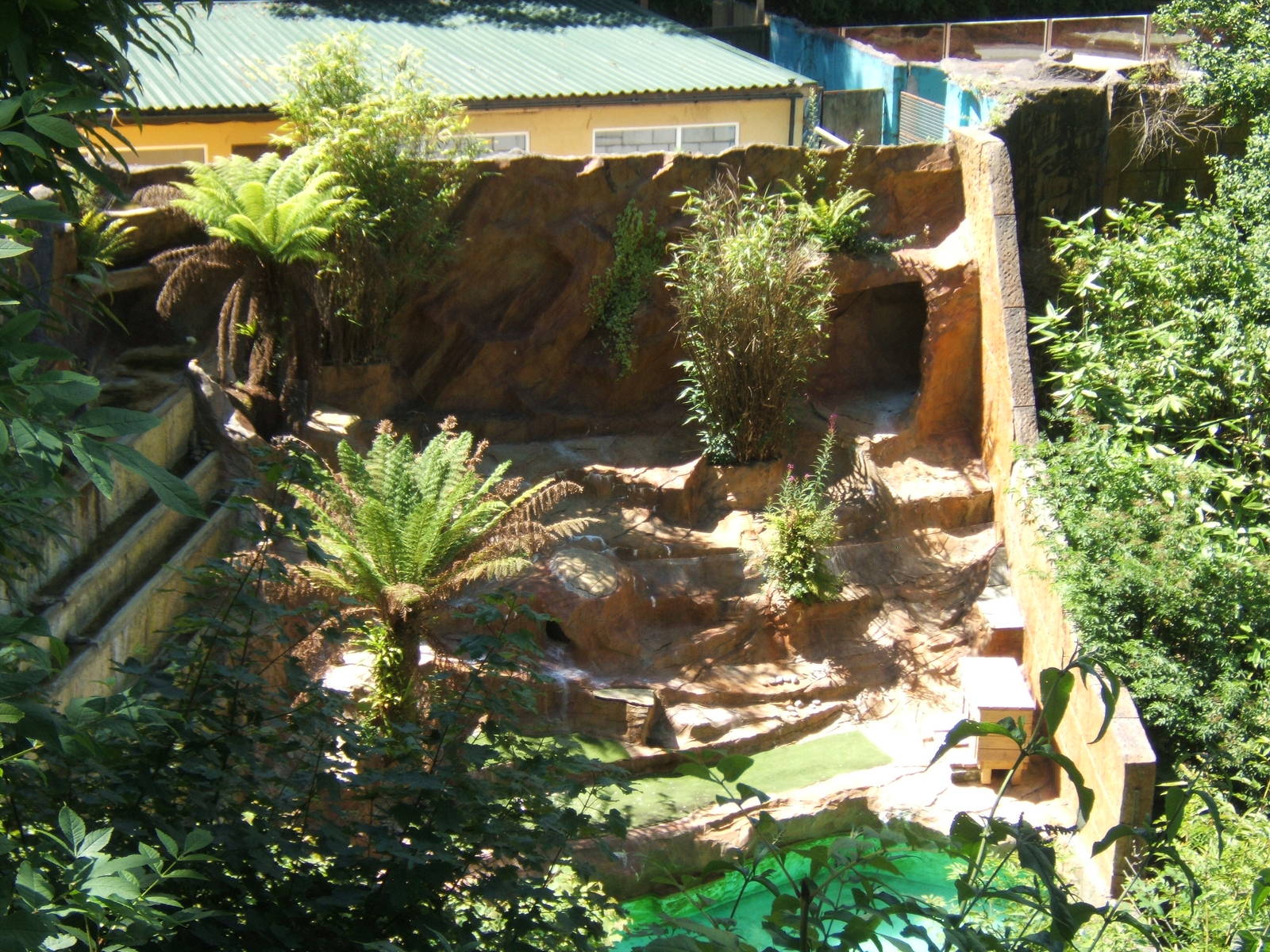 View of the Black-footed Penguin enclosure