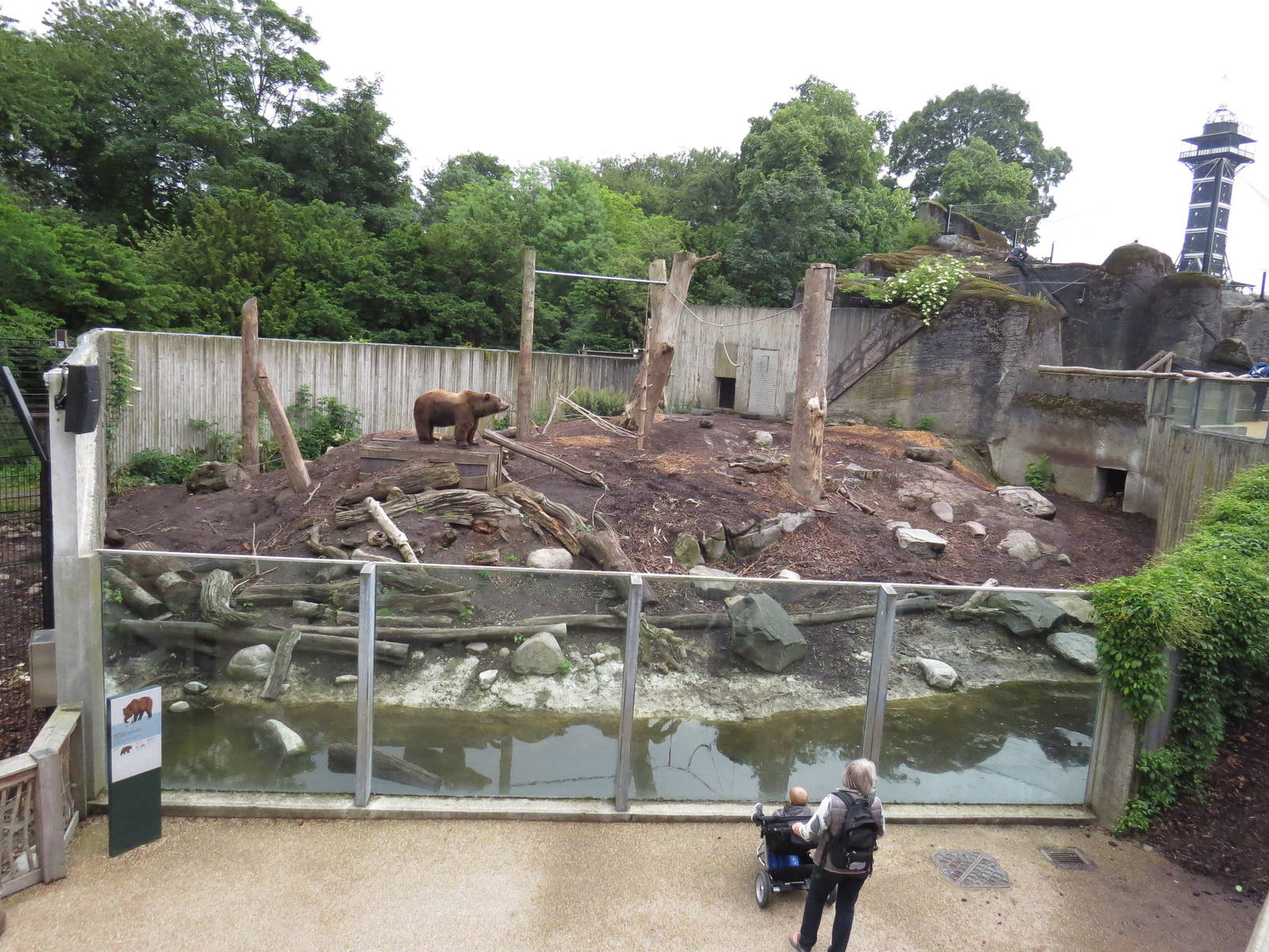 View of the brown bear enclosure, June 2015.