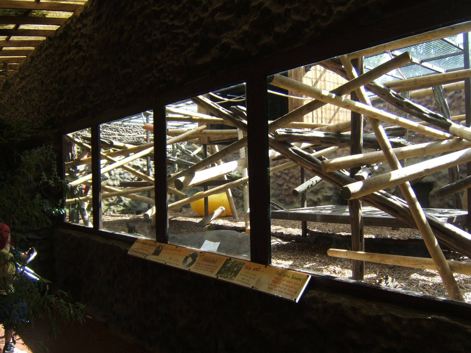 View of the Buffy-headed Capuchin enclosure
