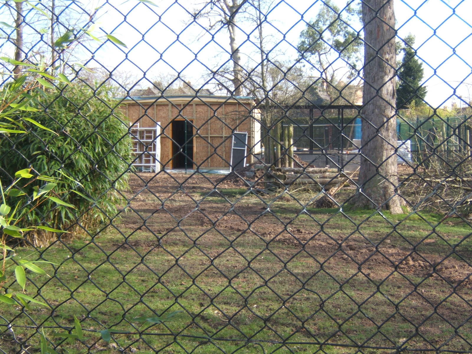 View of the building of the new off-show Lorikeet breeding centre