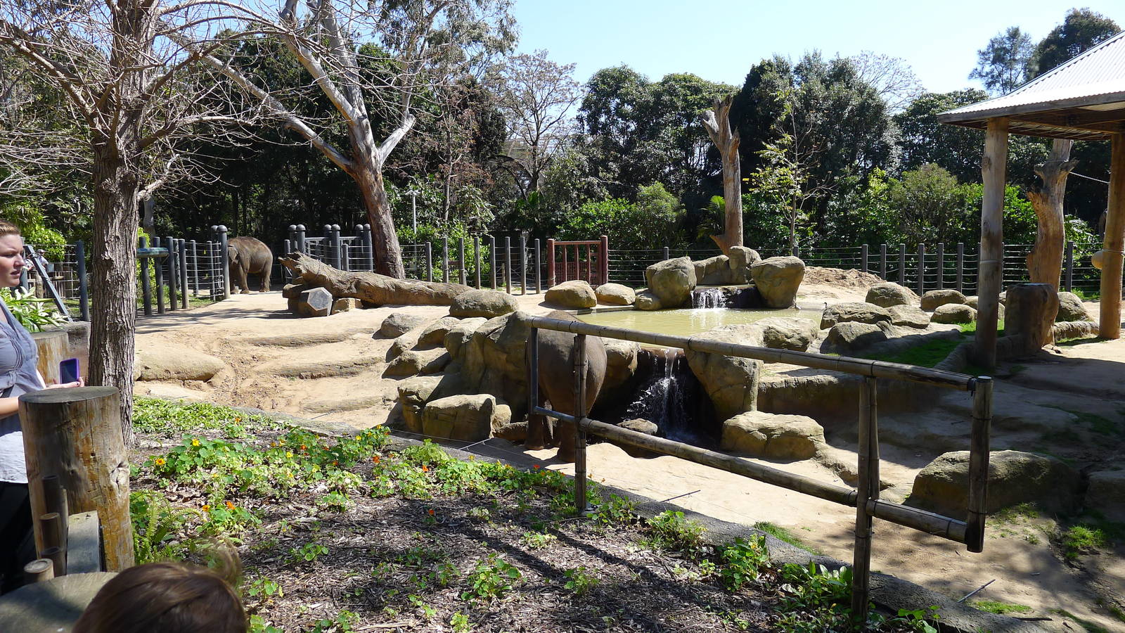 view of the "Bull" paddock