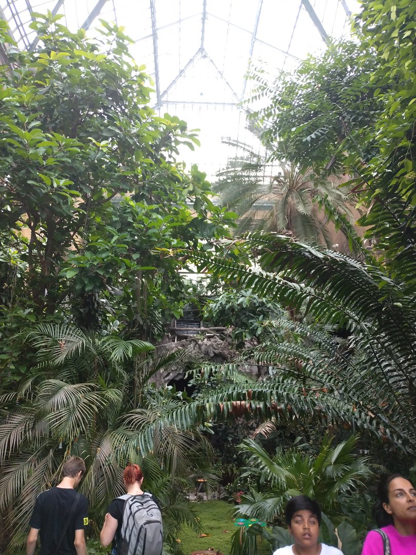 View of the butterfly hall