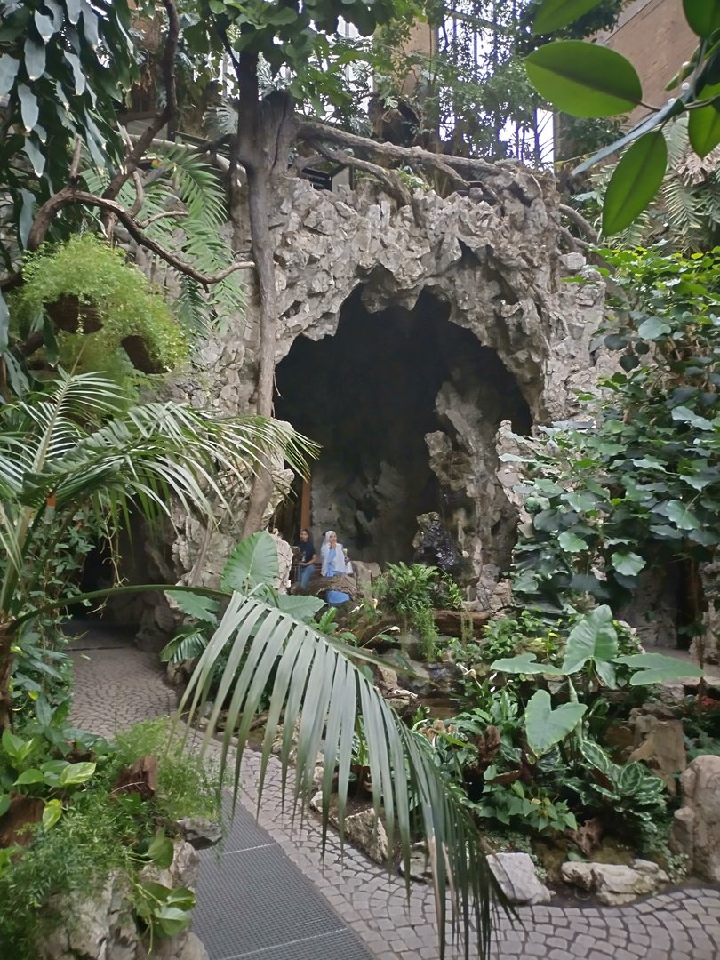 View of the butterfly hall