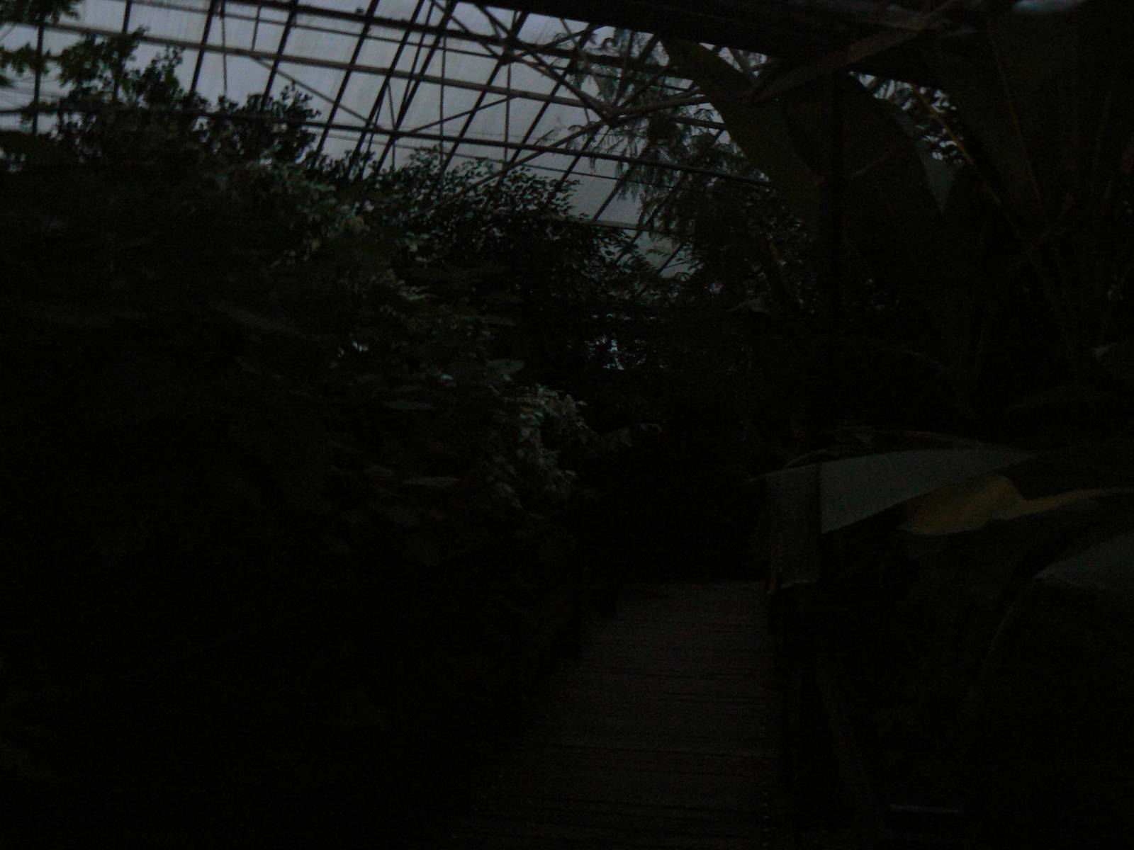 View of the Butterfly House at Dusk - 28 November 2015