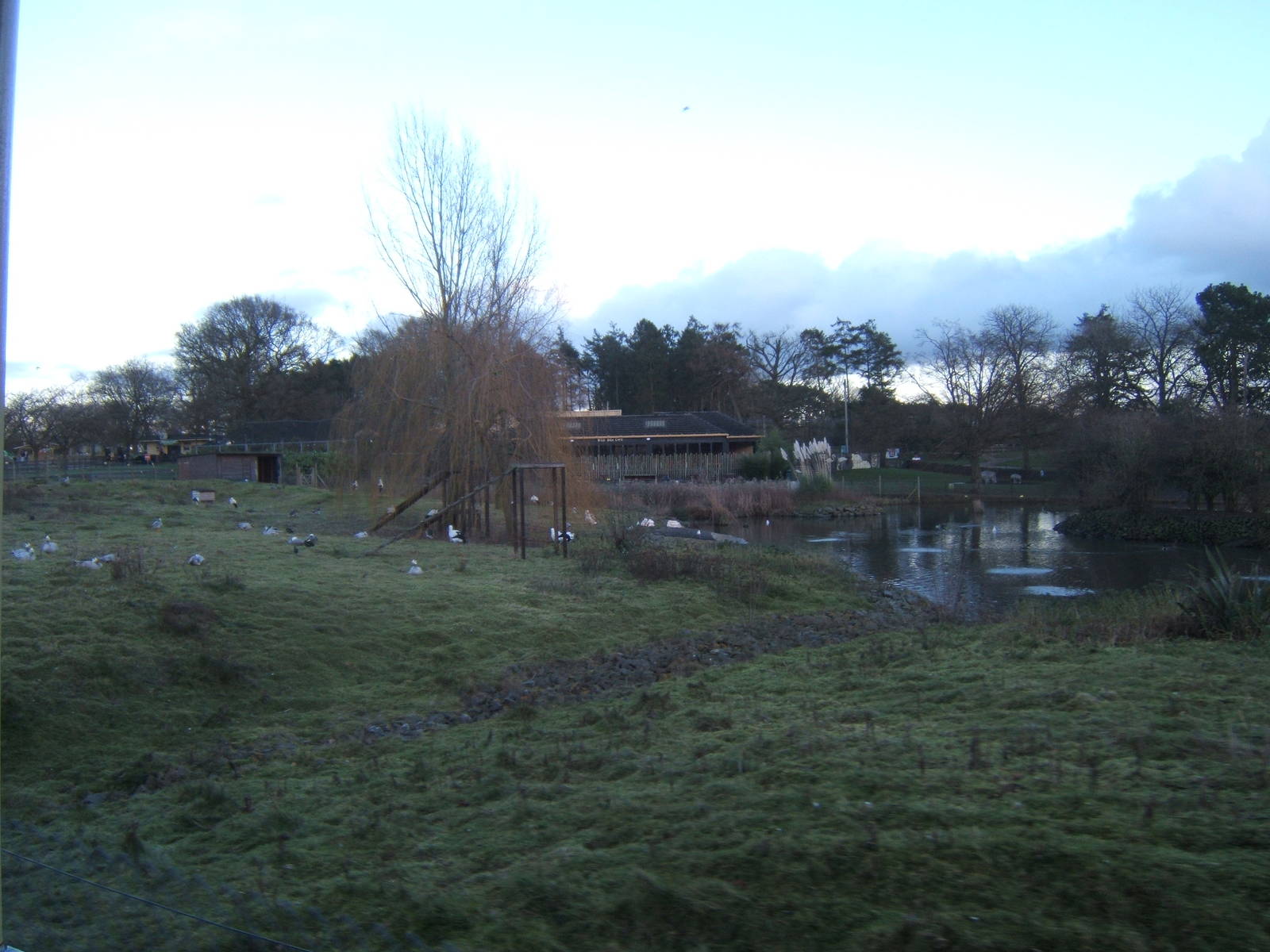View of the cafe from the Train