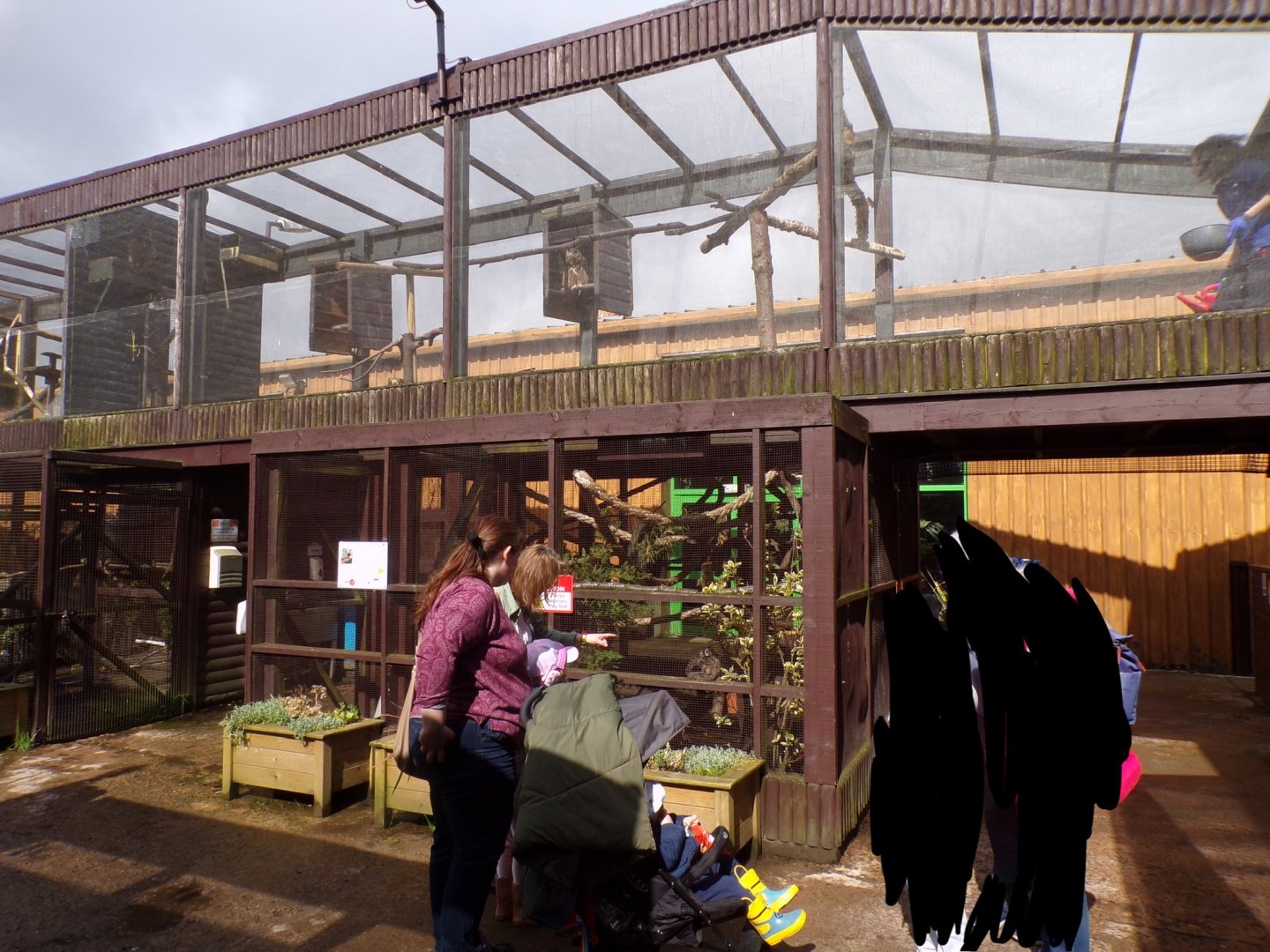 View of the castle zoo 12.4.24