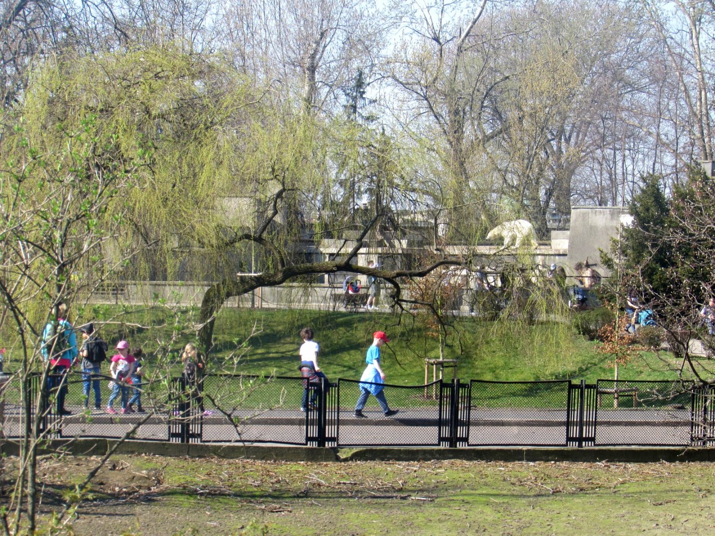 View of the central avenue. In the distance a Polar Bear on the rock.