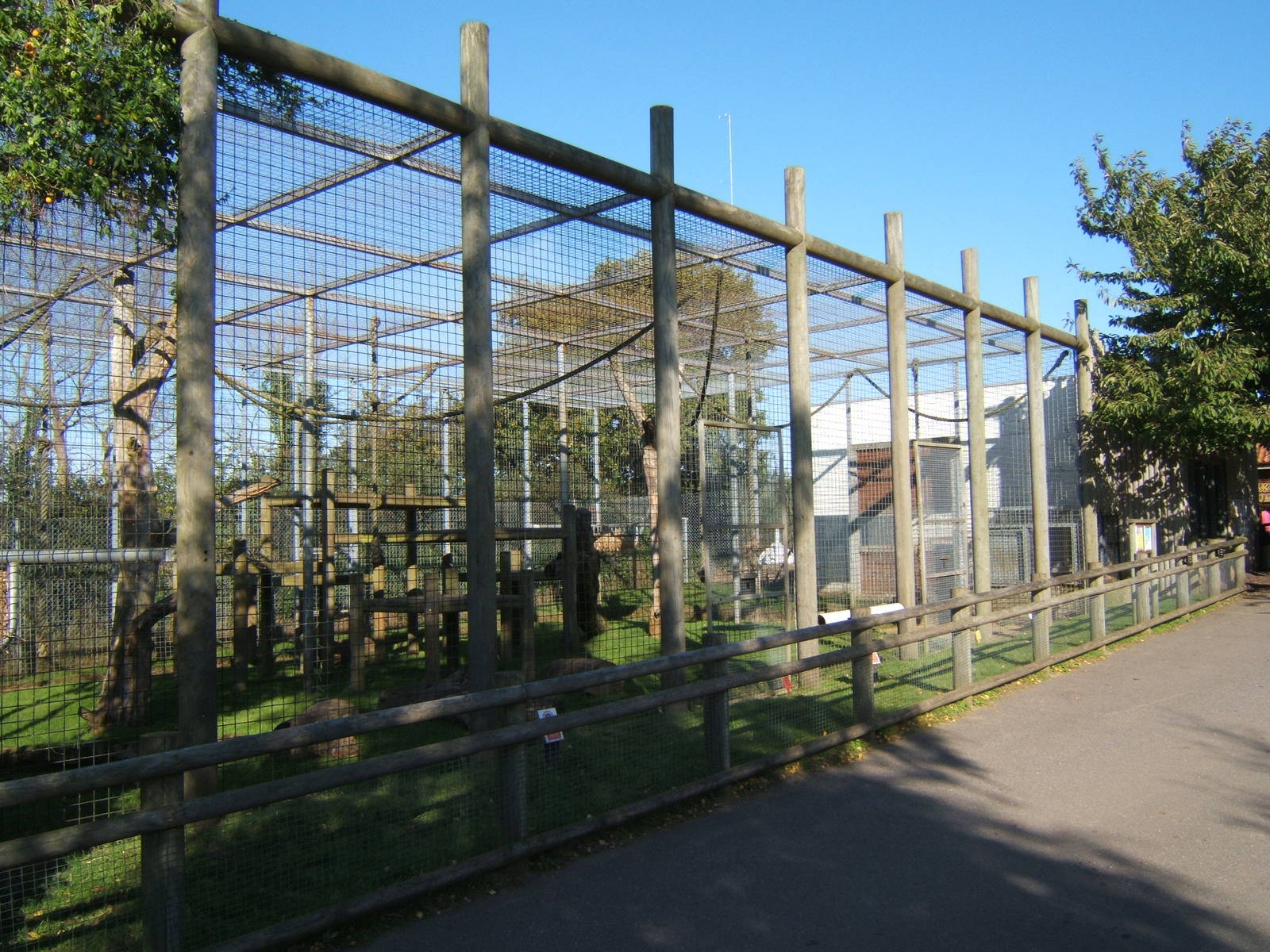 View of the Chimp enclosure