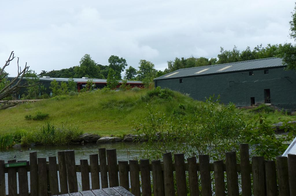 View of the chimp house and island, June 2012