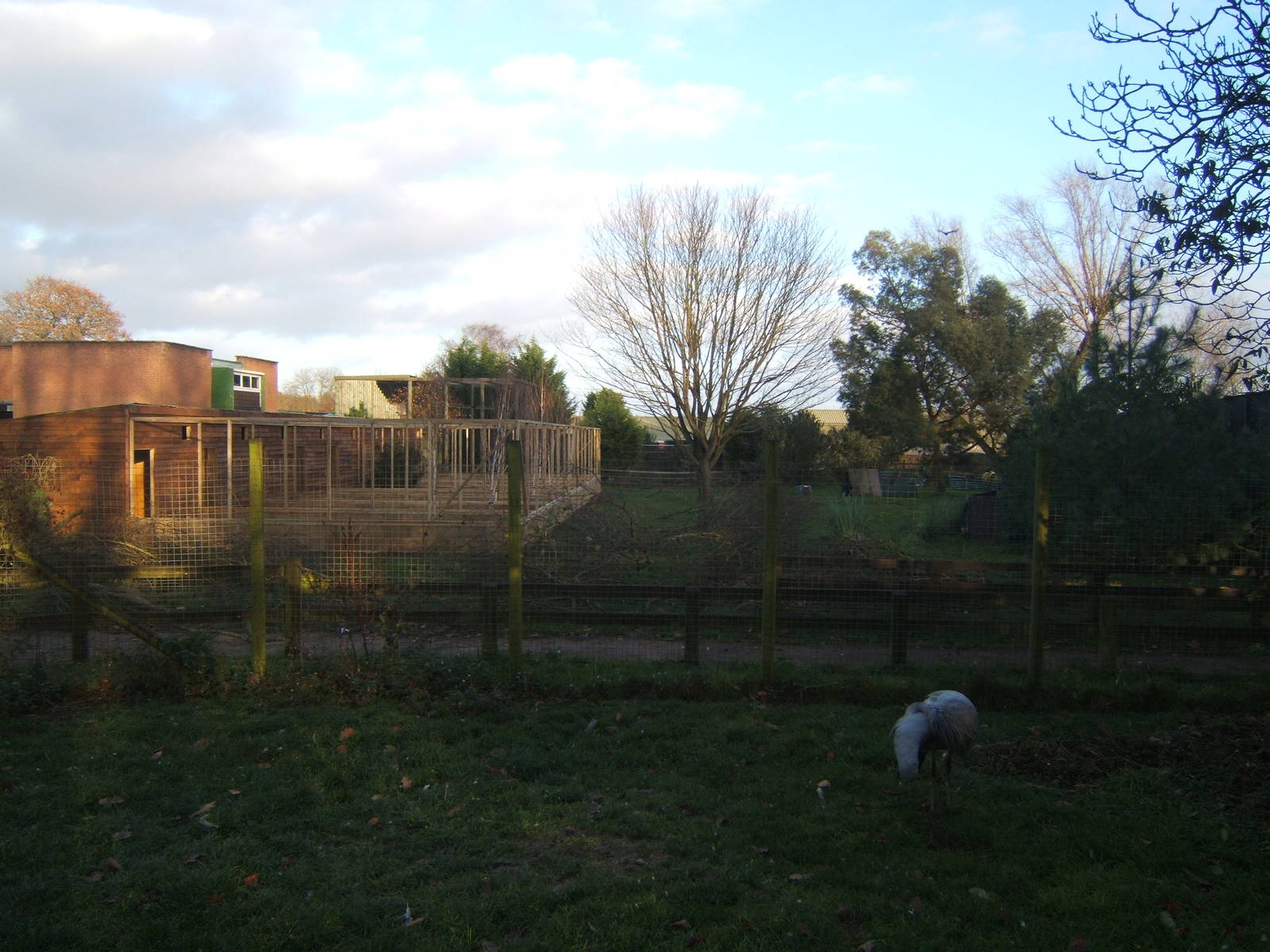 View of the closed Bird Garden