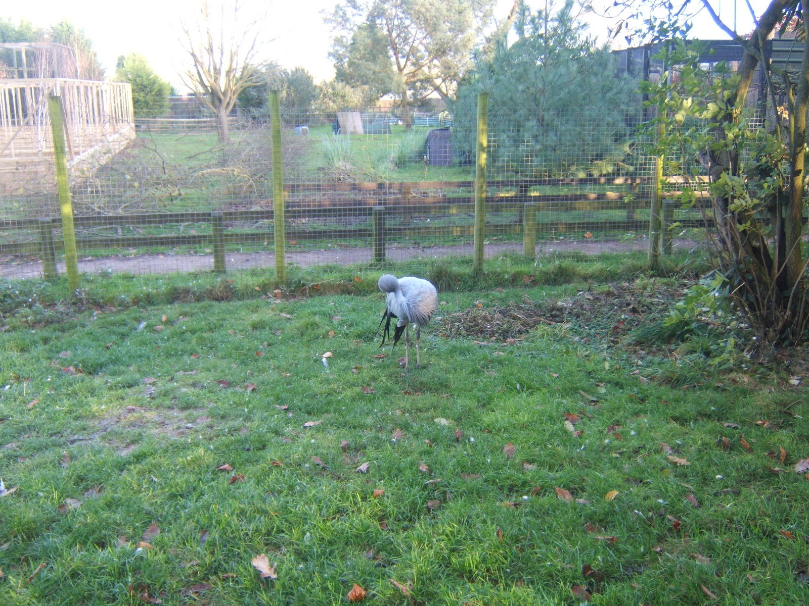 View of the closed Bird Garden