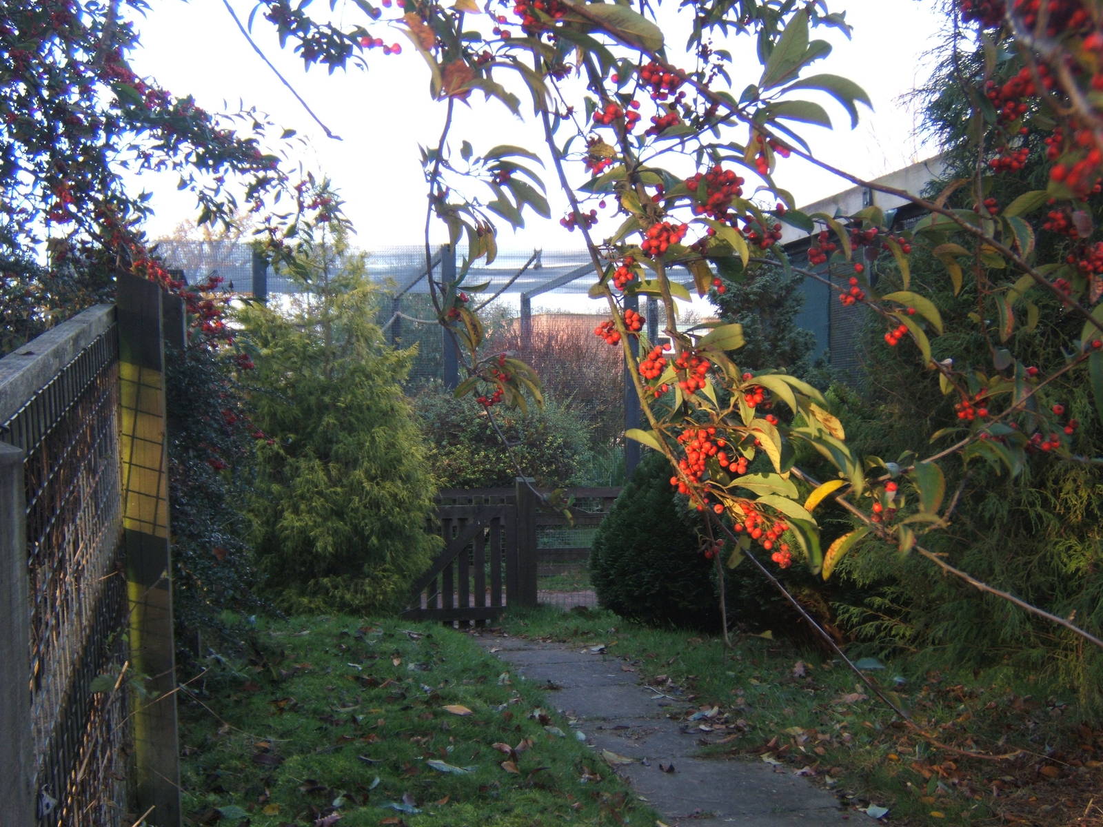 View of the closed Bird Garden