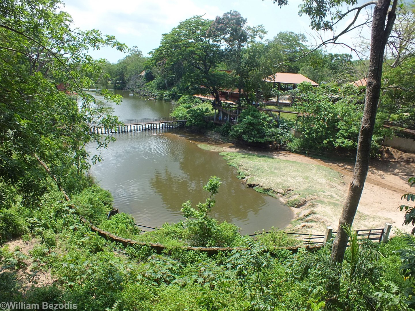 View of the Common Hippo Enclosure