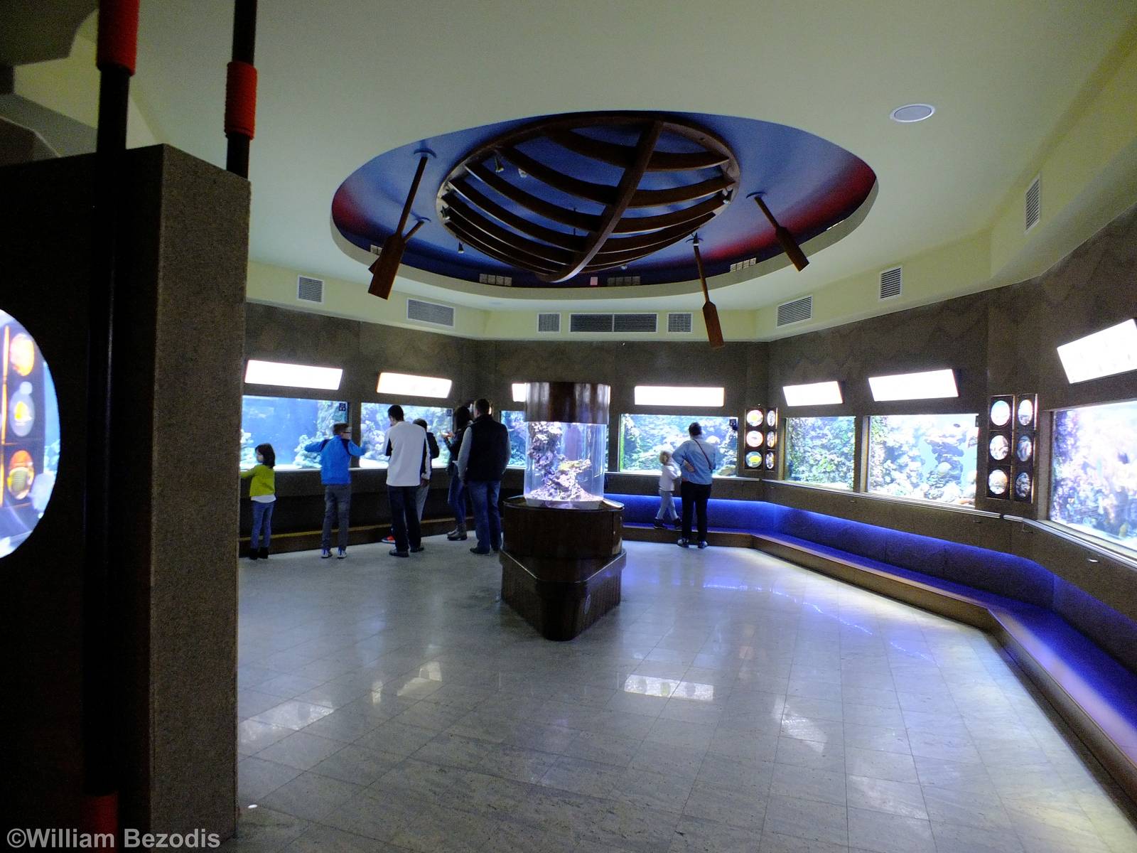 View of the Coral Reef Section- Gdynia Aquarium