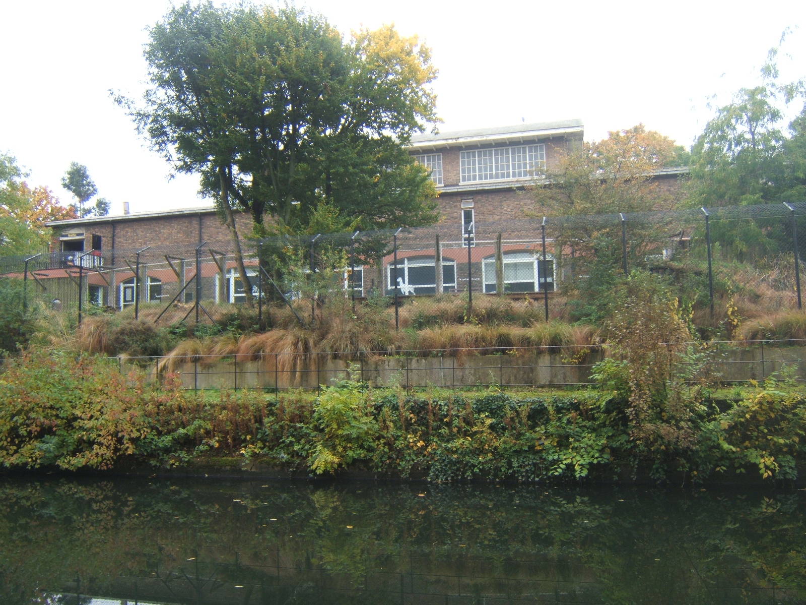 View of the Cotton Terraces from across the canal