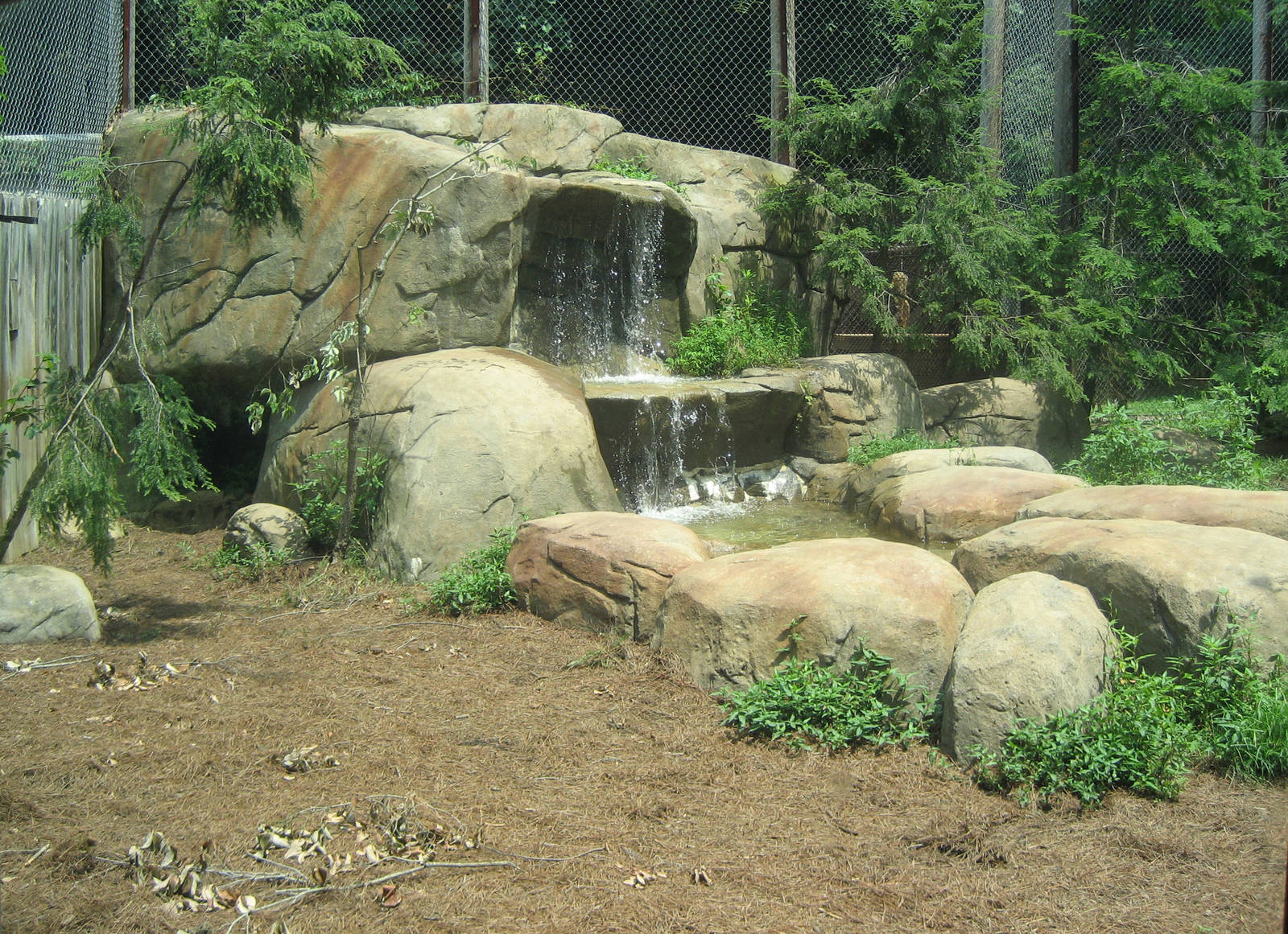view of the cougar exhibit waterfall