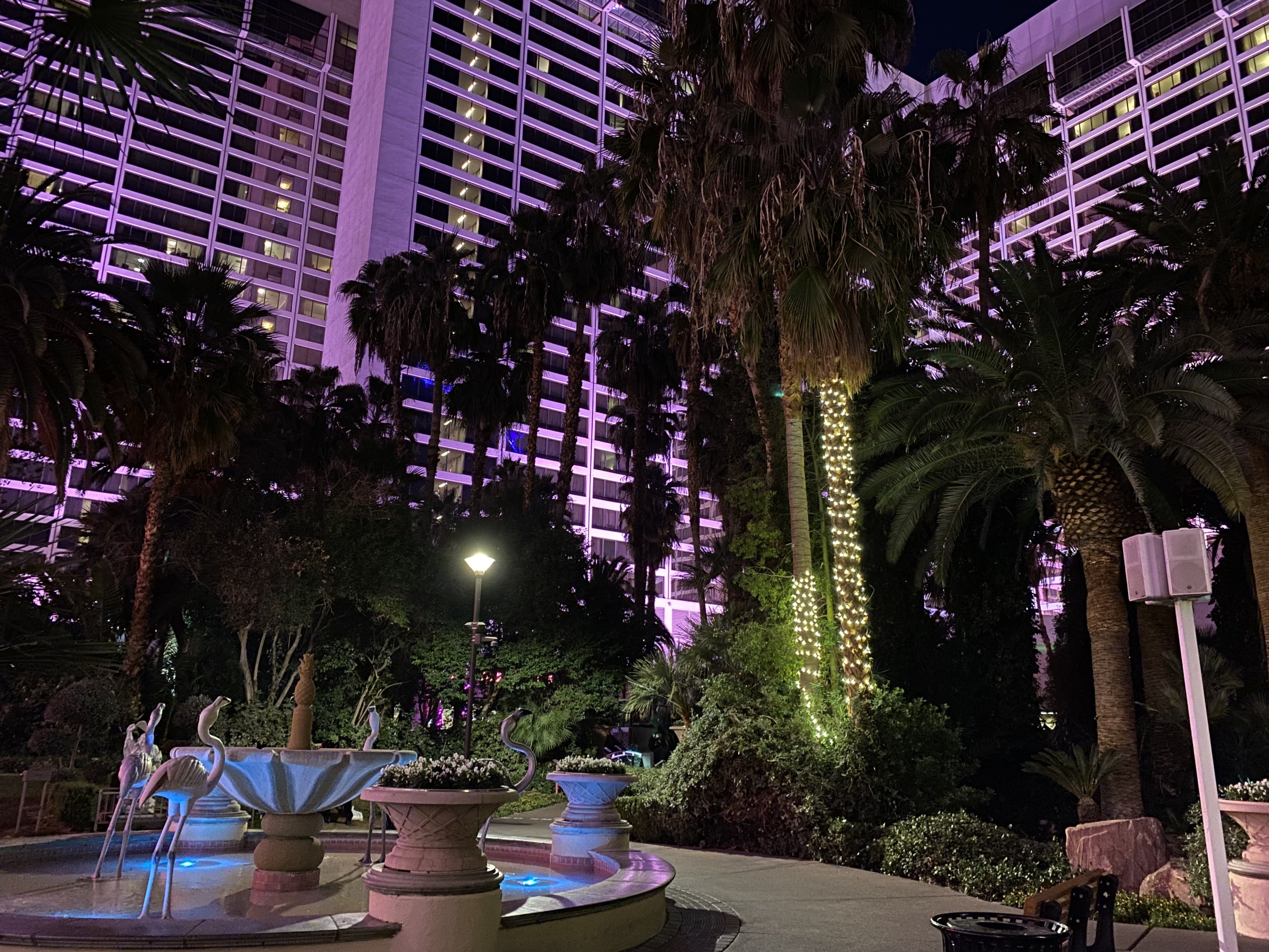 View of the Courtyard