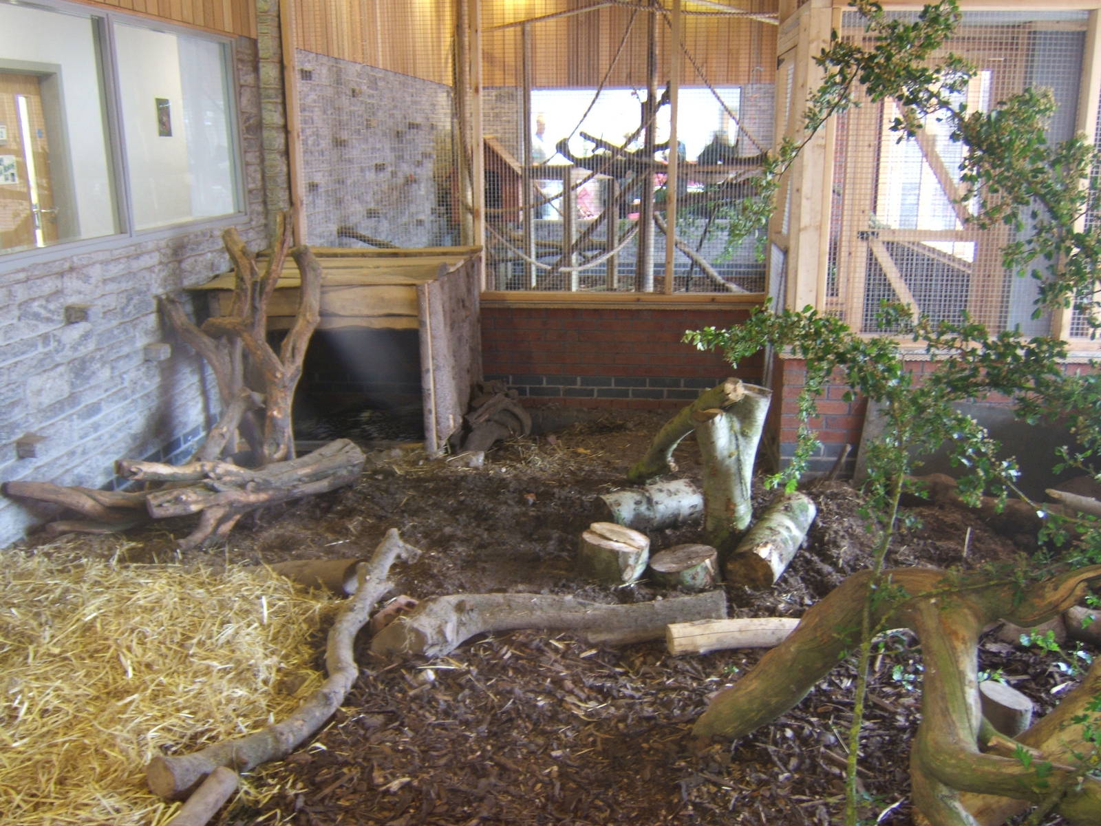 View of the Crested Porcupine/Meerkat exhibit with Coati exhibit behind