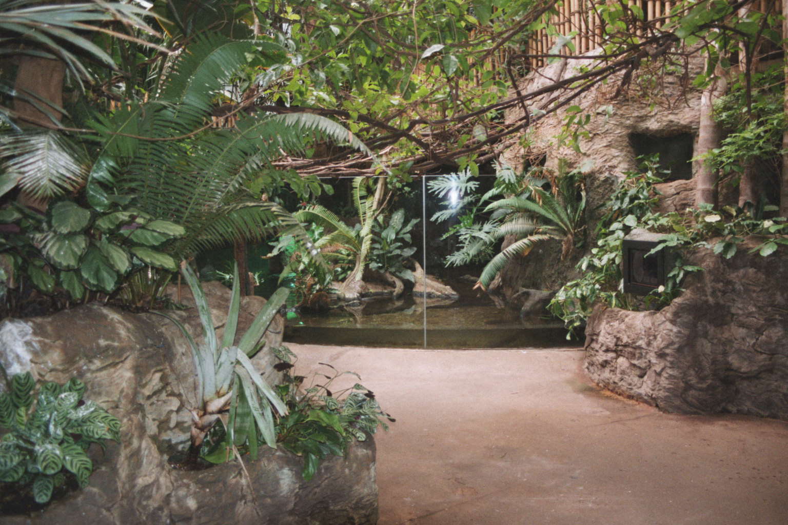 View of the Crocodile Cove