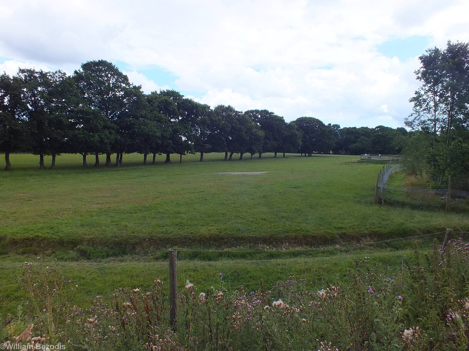 View of the 'Deer Park'