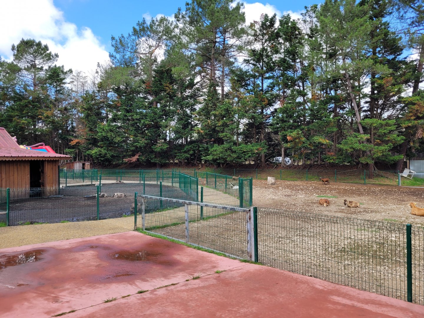 View of the domestic species area -Zoo du bassin d'Arcachon (2024)