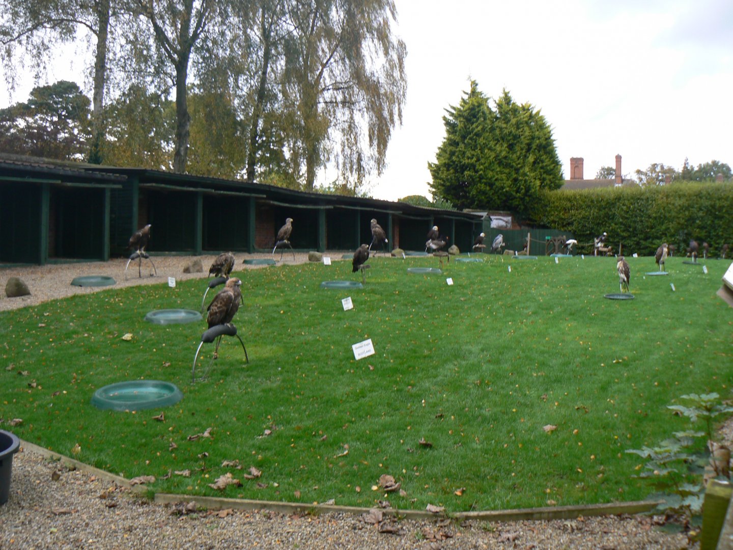 View of the 'Eagle Lawn' - 27 October 2016