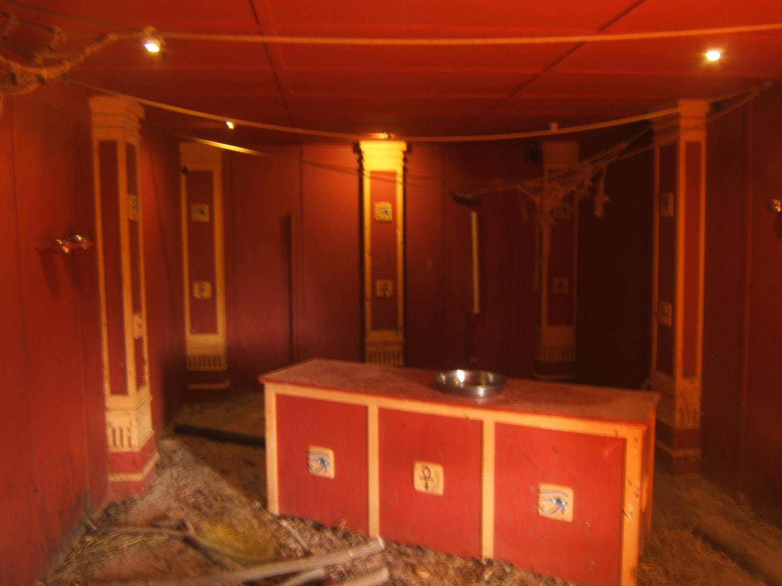 View of the Egyptian Fruit Bat,Seba`s Short-tailed Bat and Meerkat Exhibit